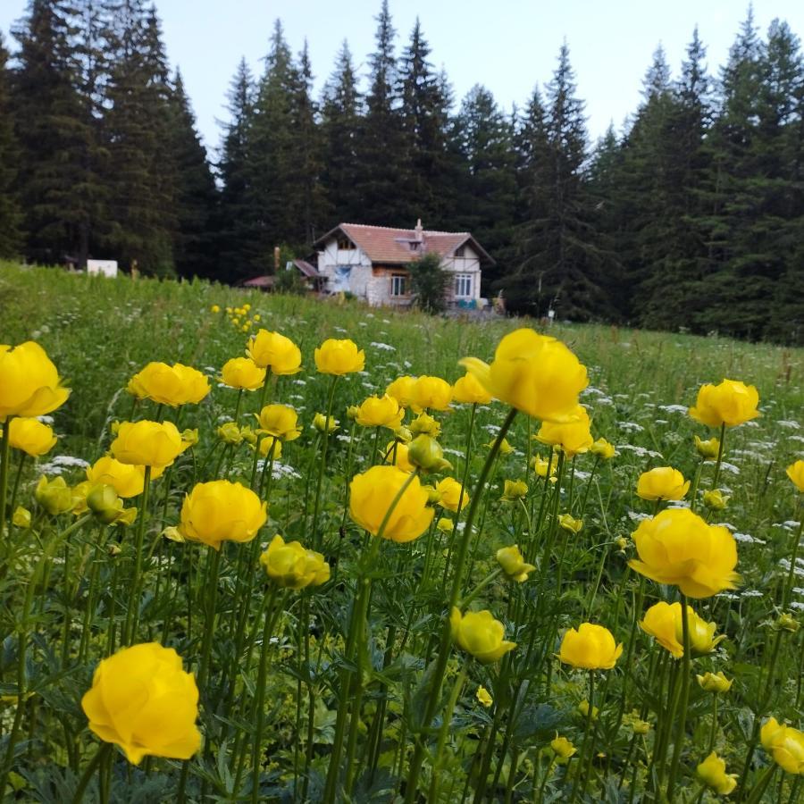 Хижа Ловна В Рила Paničišče Exteriér fotografie