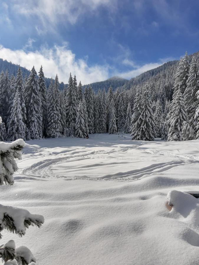 Хижа Ловна В Рила Paničišče Exteriér fotografie