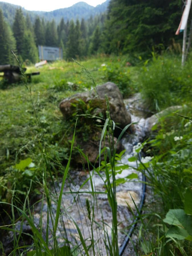 Хижа Ловна В Рила Paničišče Exteriér fotografie