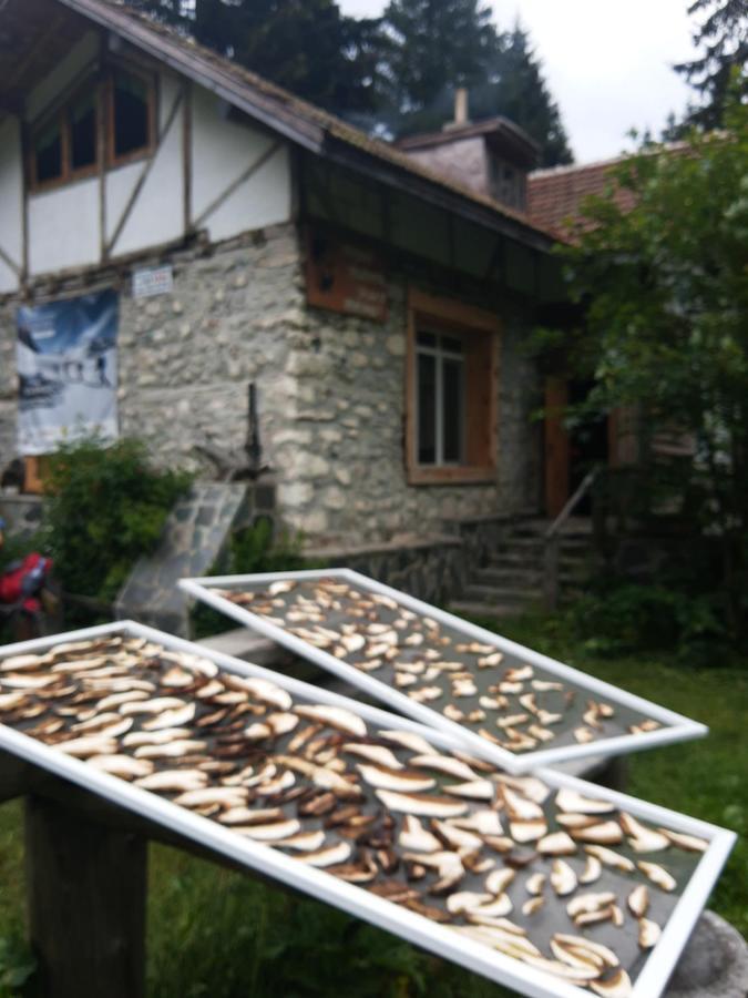 Хижа Ловна В Рила Paničišče Exteriér fotografie